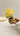 Knotsngifts Rakhi Mini Gift Hamper