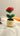 Rose Pots