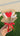 I love you mini bouquet