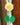 Combo of daisy curtain tie